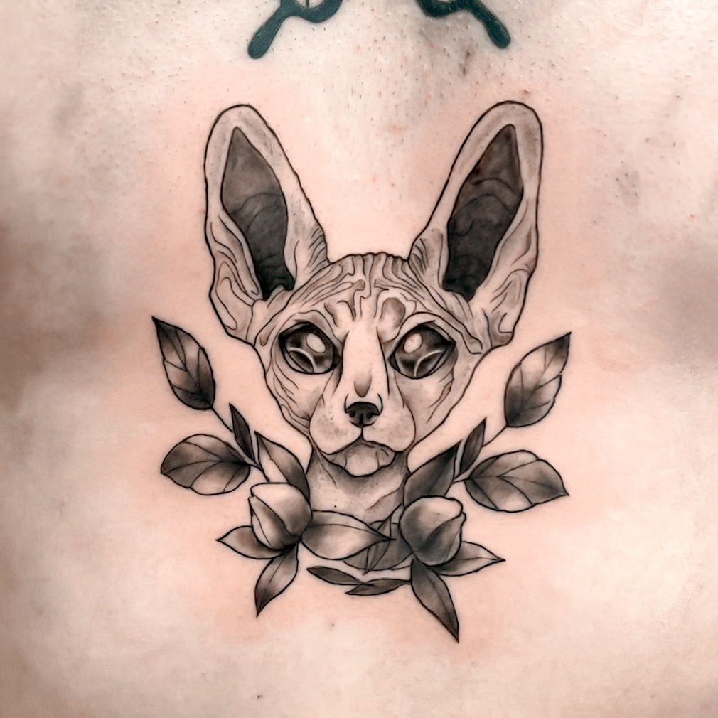 @tattooashe(10)